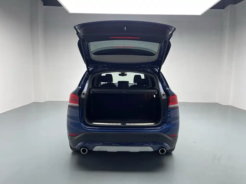 BMW X1 xDrive25Li Luxury Edition 2021