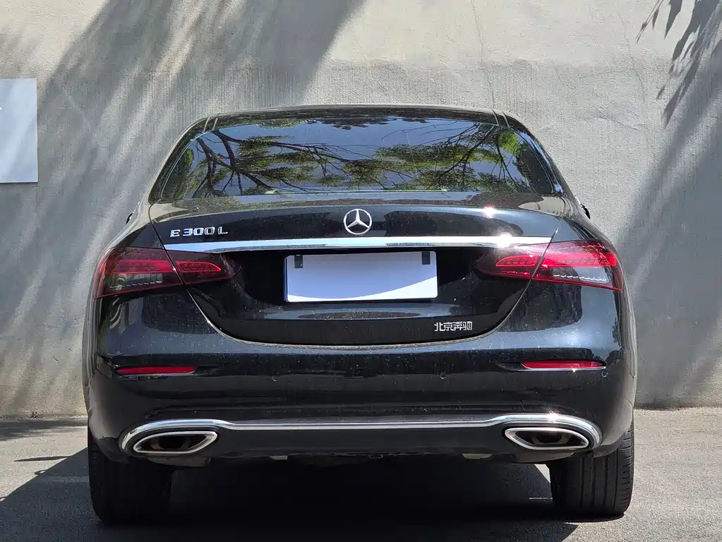 Mercedes-Benz E-Class 2021 E 300 L Luxury Edition