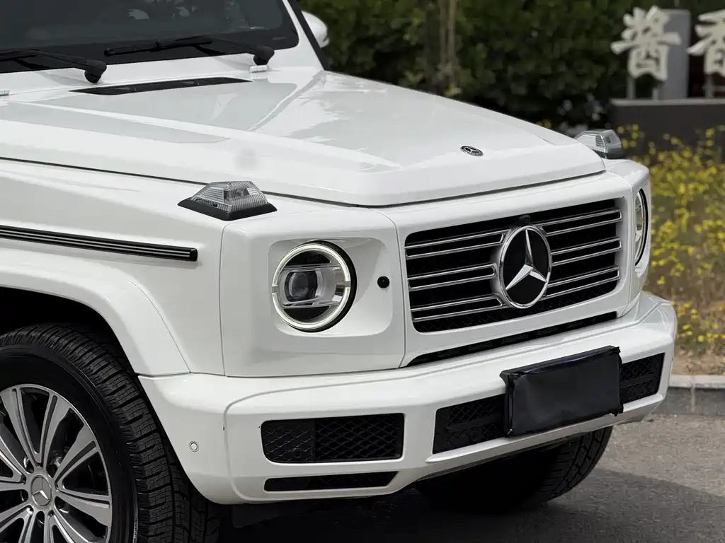 Mercedes-Benz G-Class 2019 model restyled G 500