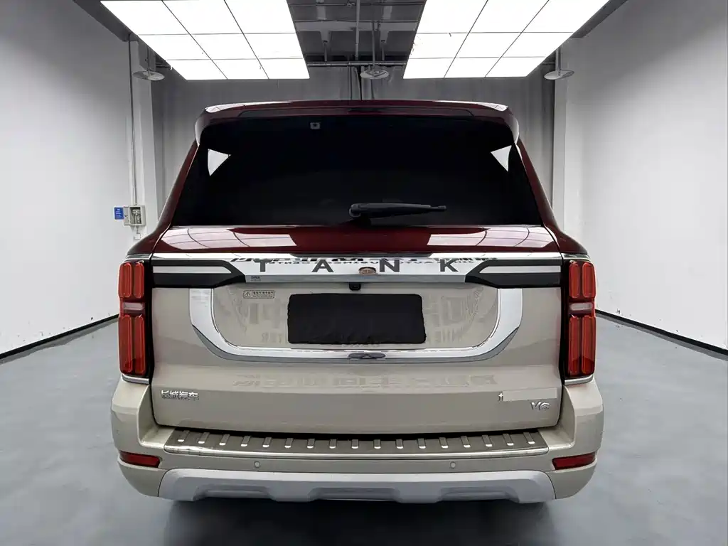 TANK 500 2022 Model High-end Custom Edition 5-seater