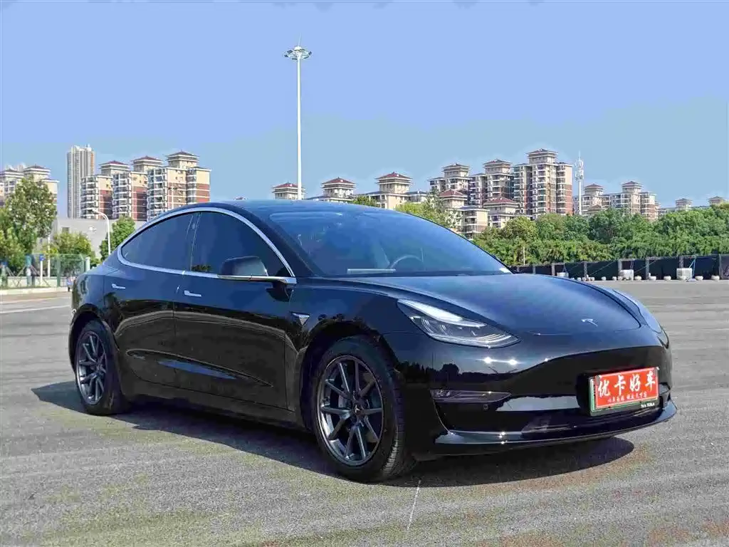 Model 3 Long Range Rear-Wheel Drive 2020款