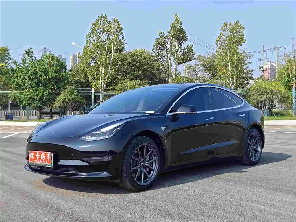 Model 3 Long Range Rear-Wheel Drive 2020款