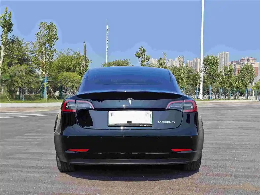 Model 3 Long Range Rear-Wheel Drive 2020款