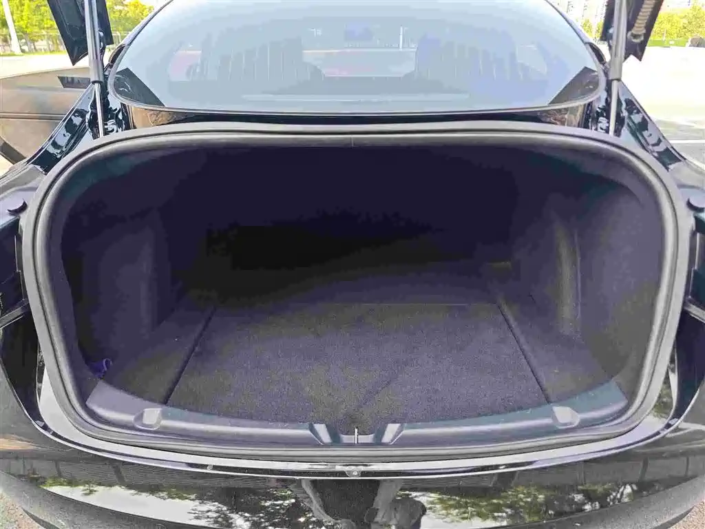 Model 3 Long Range Rear-Wheel Drive 2020款