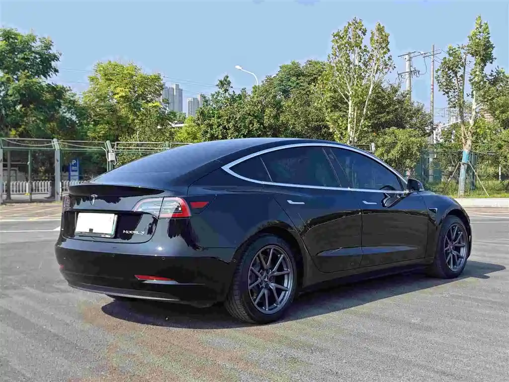 Model 3 Long Range Rear-Wheel Drive 2020款