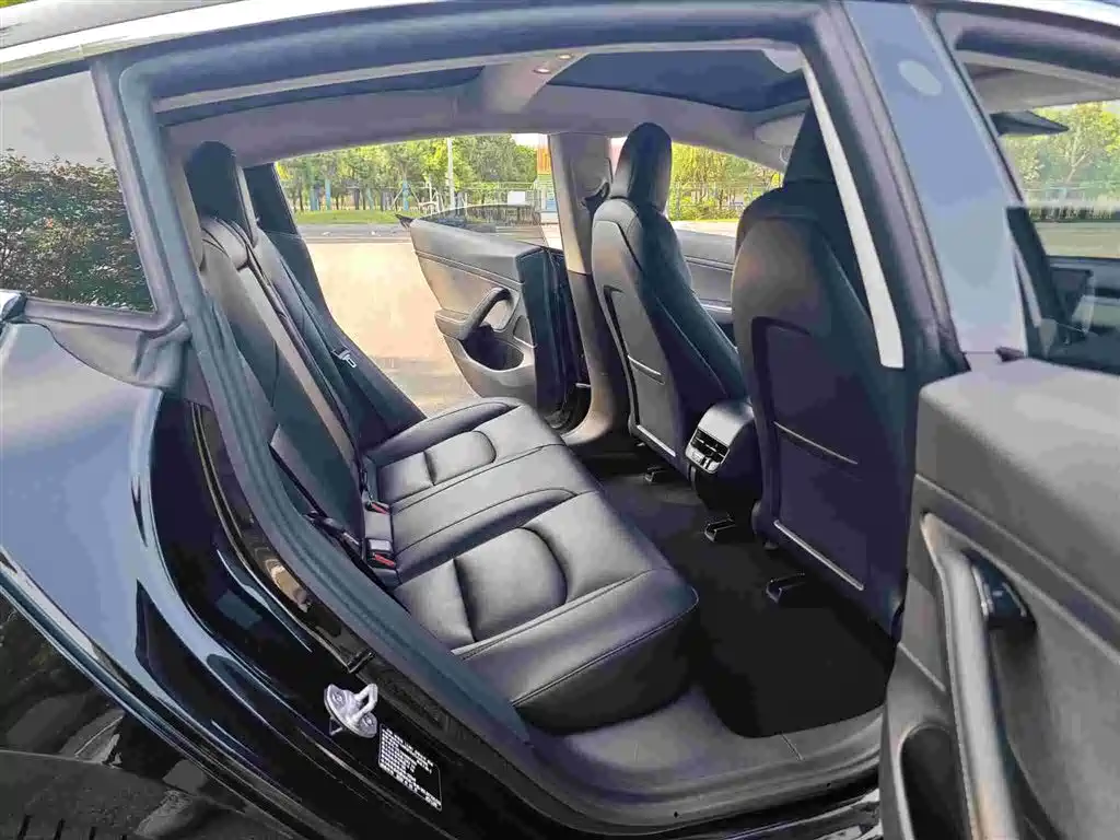 Model 3 Long Range Rear-Wheel Drive 2020款