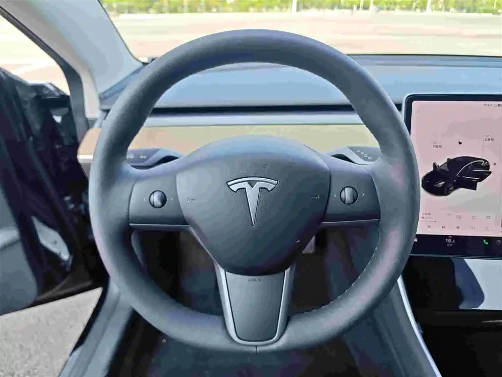 Model 3 Long Range Rear-Wheel Drive 2020款