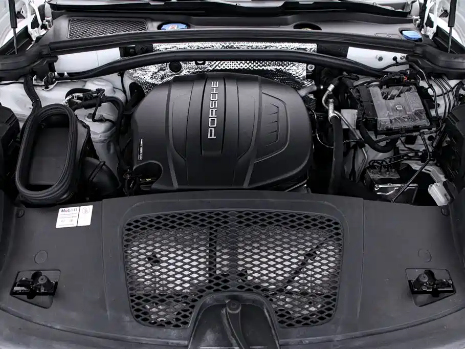 Macan 2021 2.0T