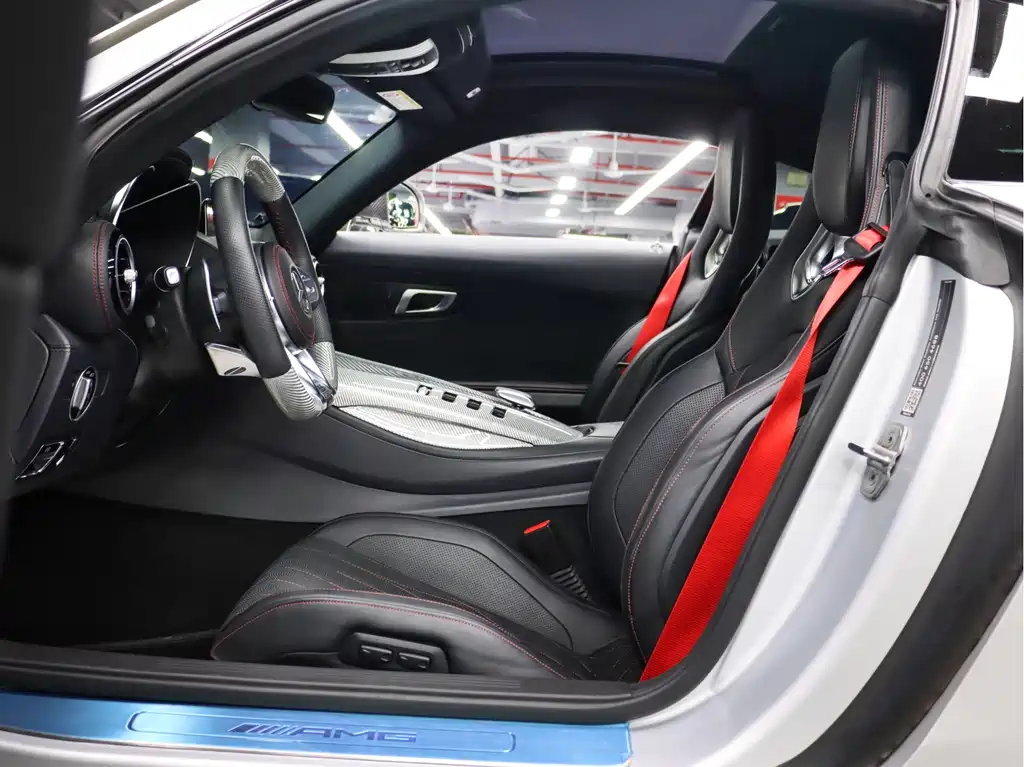 AMG GT 2019 model AMG GT S