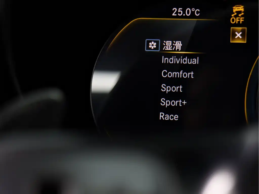 AMG GT 2019 model AMG GT S