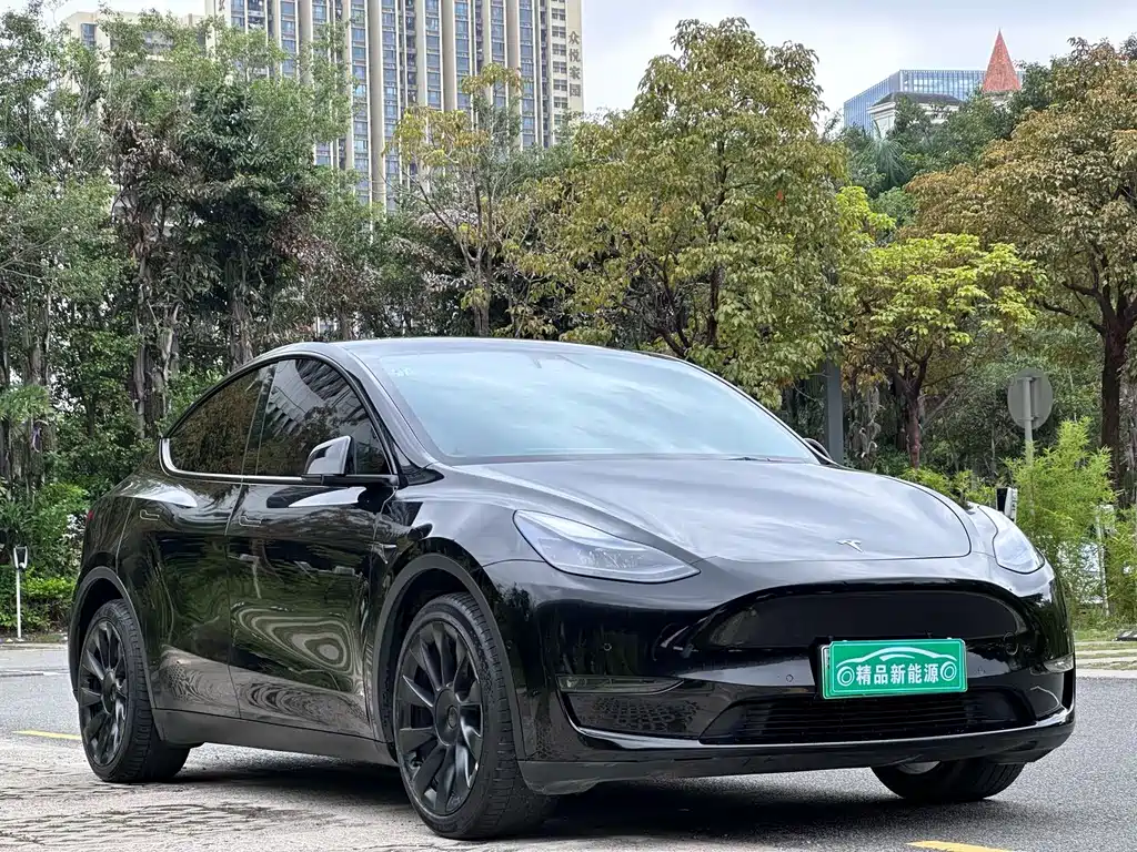 Model Y Long Range All-Wheel Drive 2022