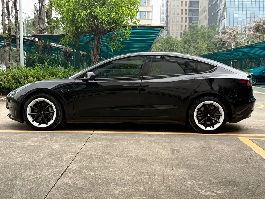 Model 3 Standard Range Rear-Wheel Drive Plus 2021
