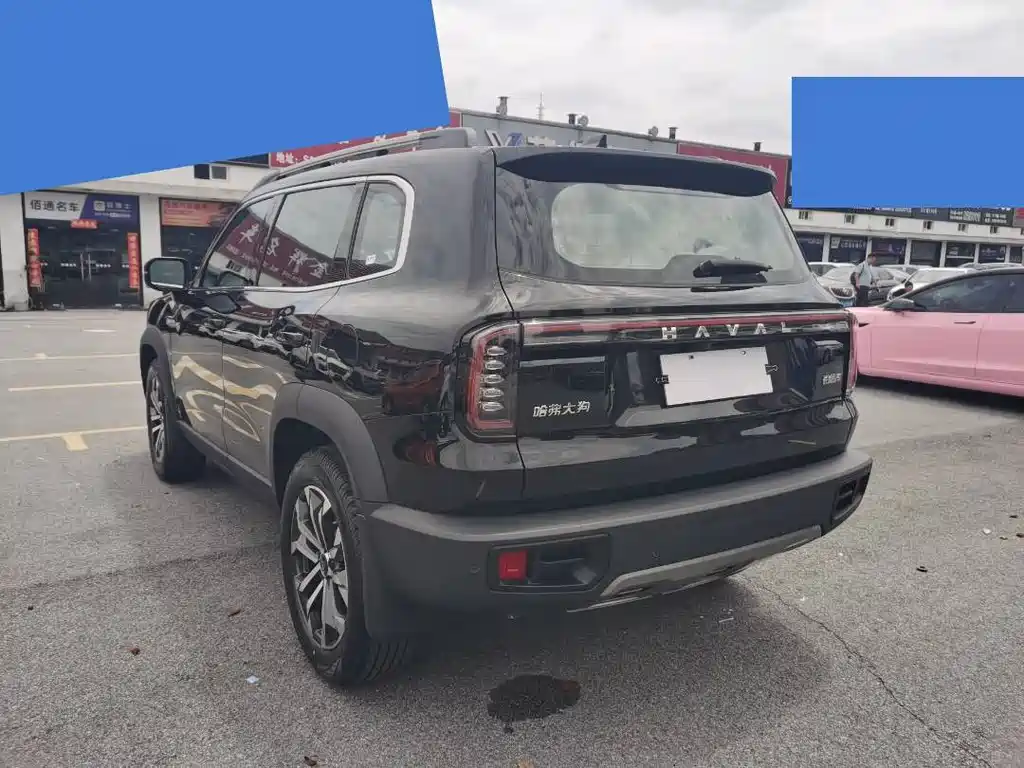 Haval Dog 2024 1.5T DCT Border Collie Edition