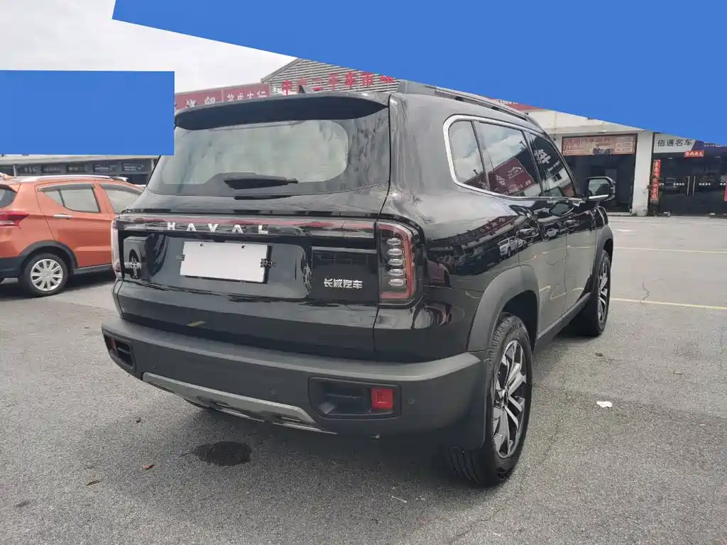 Haval Dog 2024 1.5T DCT Border Collie Edition