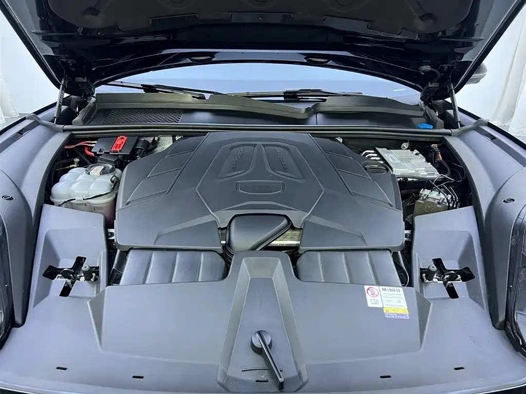 Cayenne 2024 Model Cayenne 3.0T