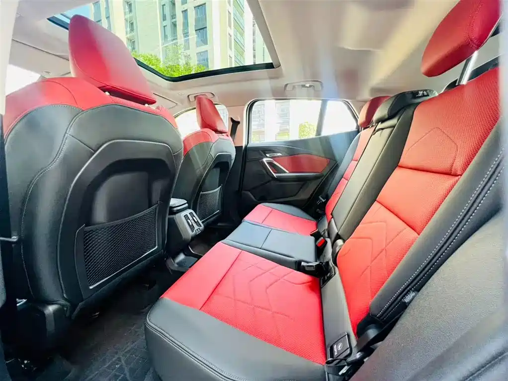 BMW X2 Imported 2024 Model sDrive25i M Sport Package