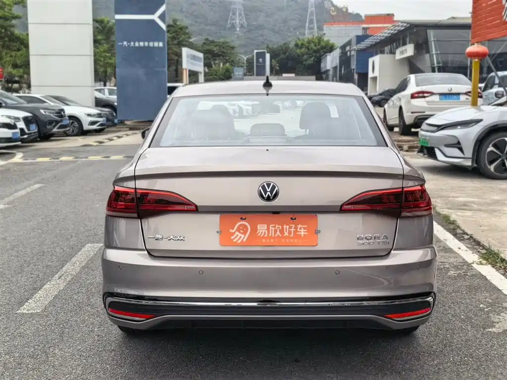 2024 BaoLai 300 TSI DSG Zunxing Edition