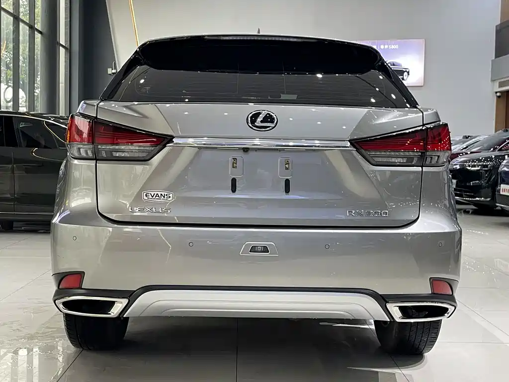 Lexus RX 2020 300 Two-wheel Drive Elite Edition National VI