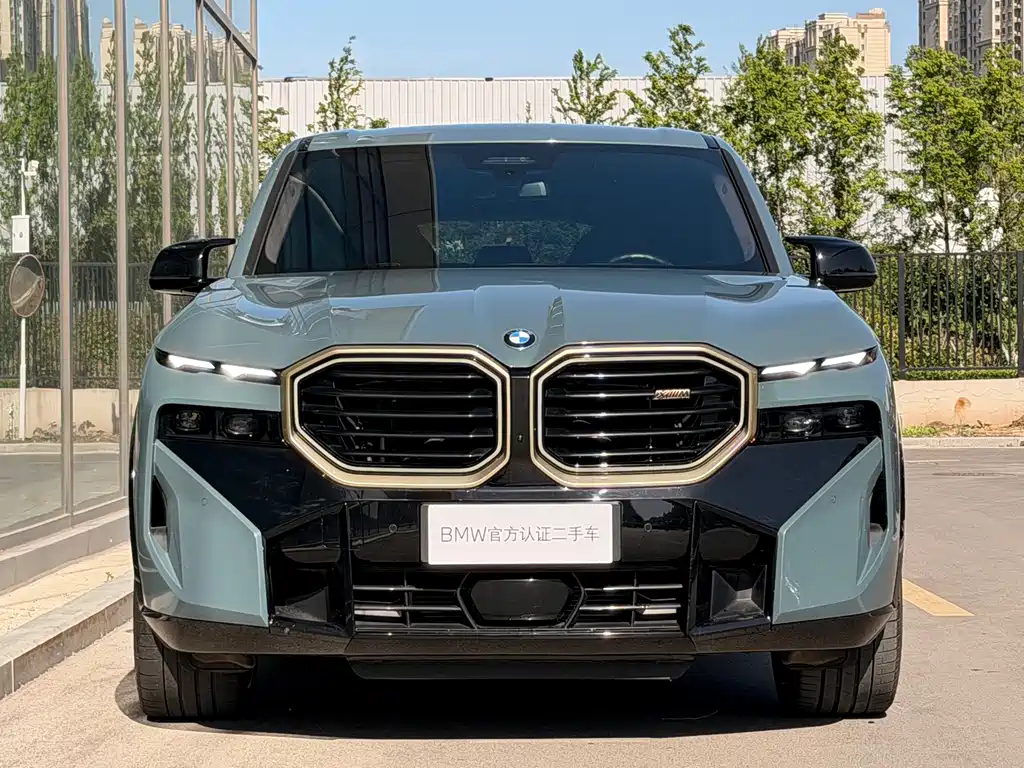 BMW XM 2023 Basic Model