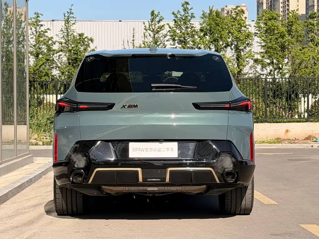 BMW XM 2023 Basic Model