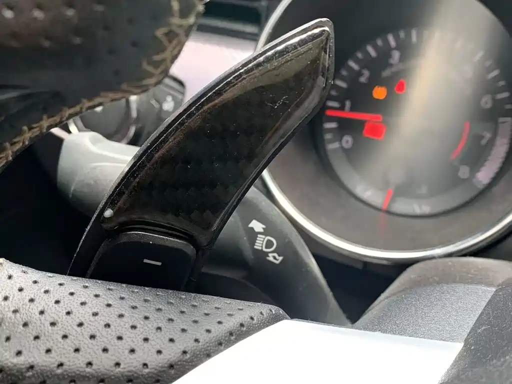 Mustang 2017 2.3T Performance Edition