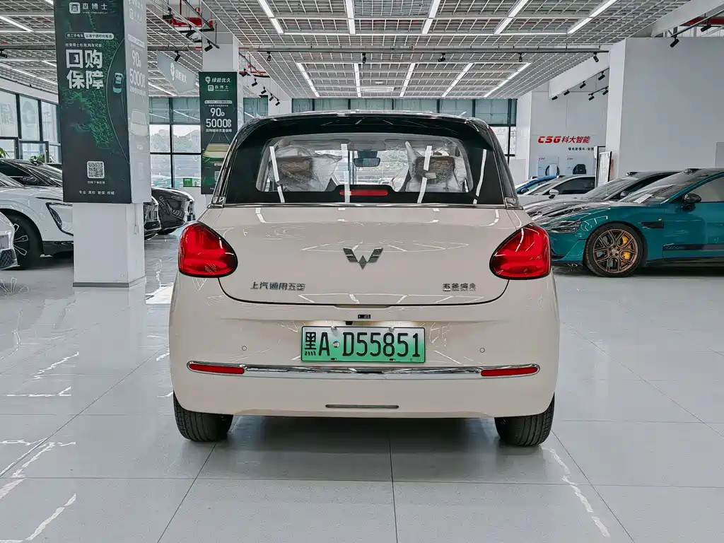 Wuling BenGuo 2025 Model 333km YueXiang Edition