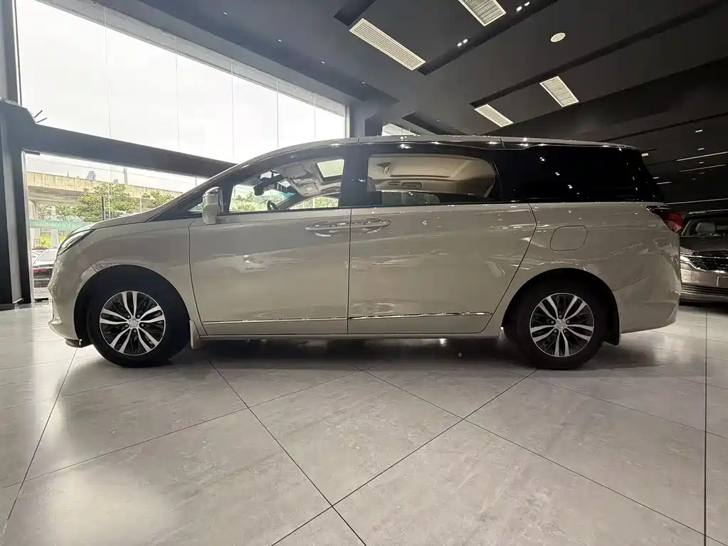 Buick GL8 2022 ES Luxury 653T