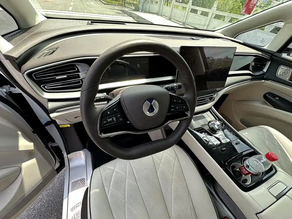 Tengri D9 2024 Model DM-i 980 All-Wheel Drive Prestige Edition
