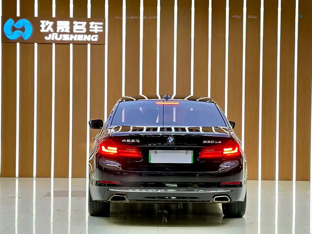 BMW 5 Series New Energy 2018 530Le Luxury Package