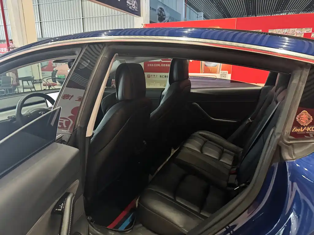 Model 3 Long Range Rear-Wheel Drive 2019 Import Edition