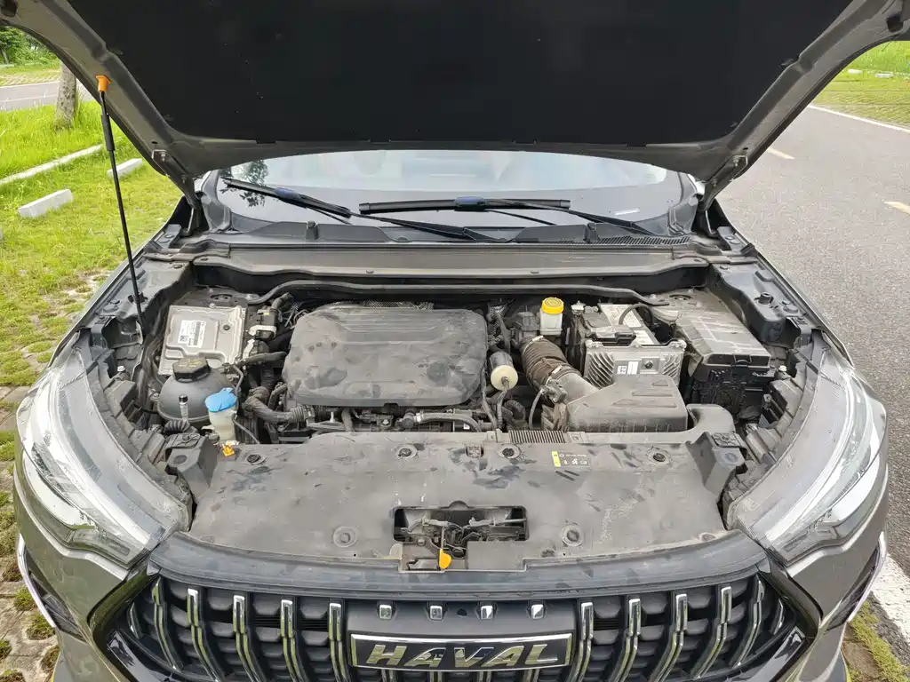 Haval H5 2021款 激擎版 1.5T 黄金兔