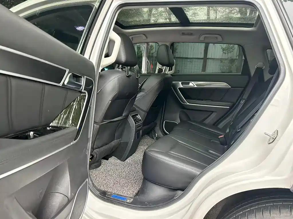 Harvest H6 Coupe 2017 Blue Label 2.0T Automatic Two-Wheel Drive Elite Edition