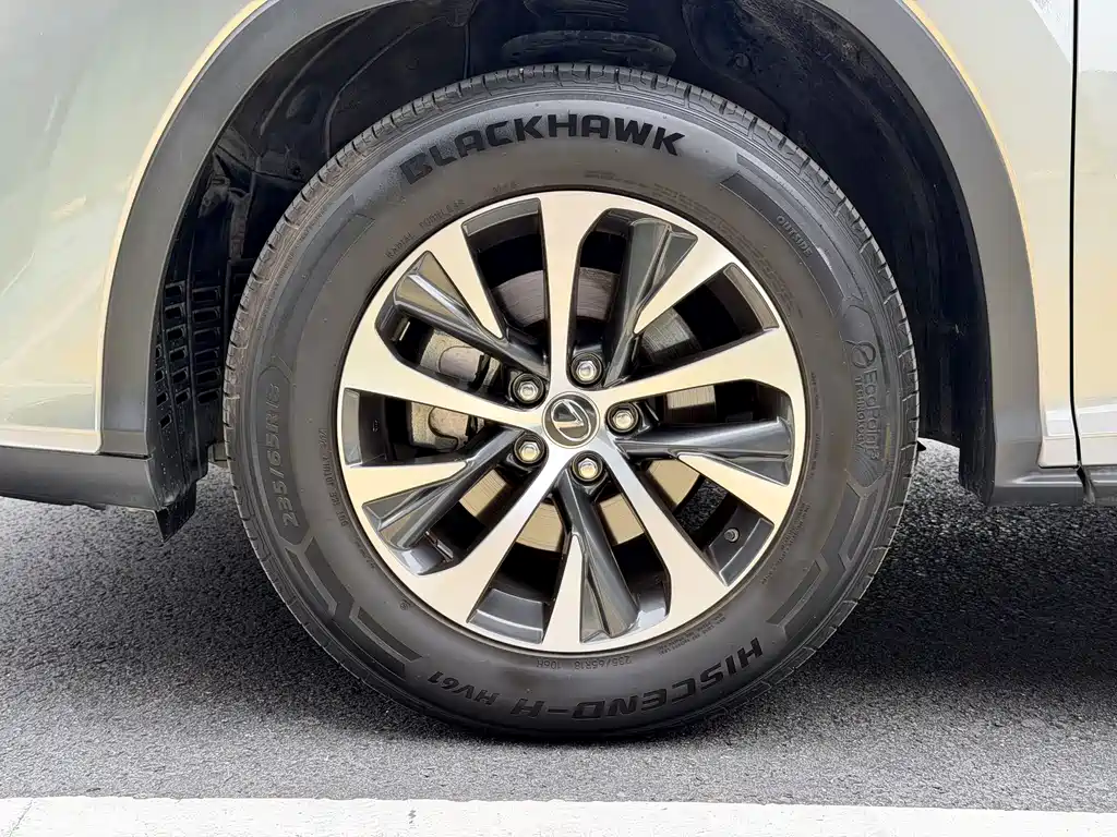 Lexus RX 2020 300 Two-wheel Drive Elite Edition National VI