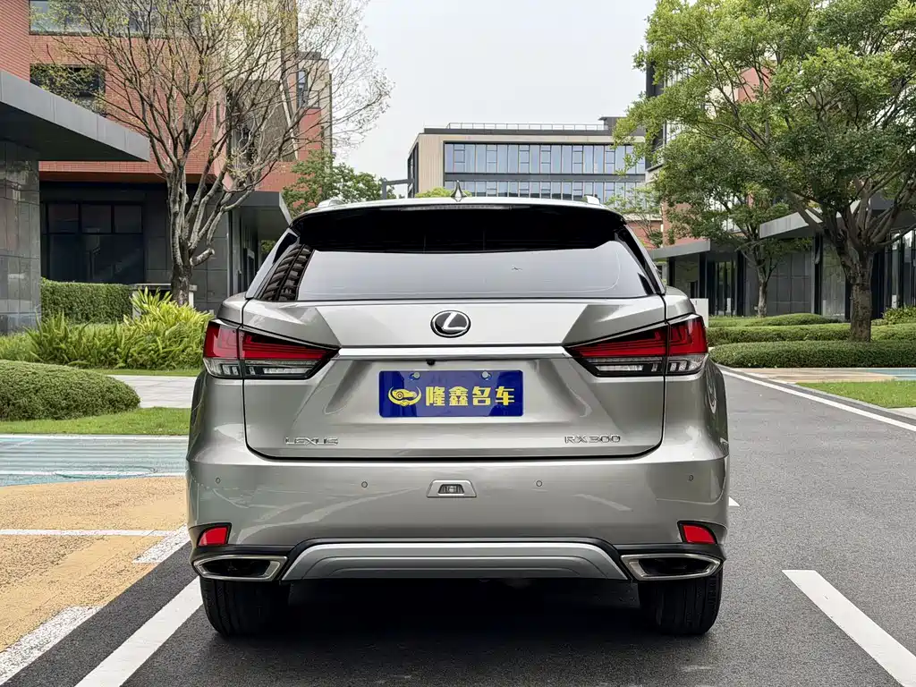 Lexus RX 2020 300 Two-wheel Drive Elite Edition National VI