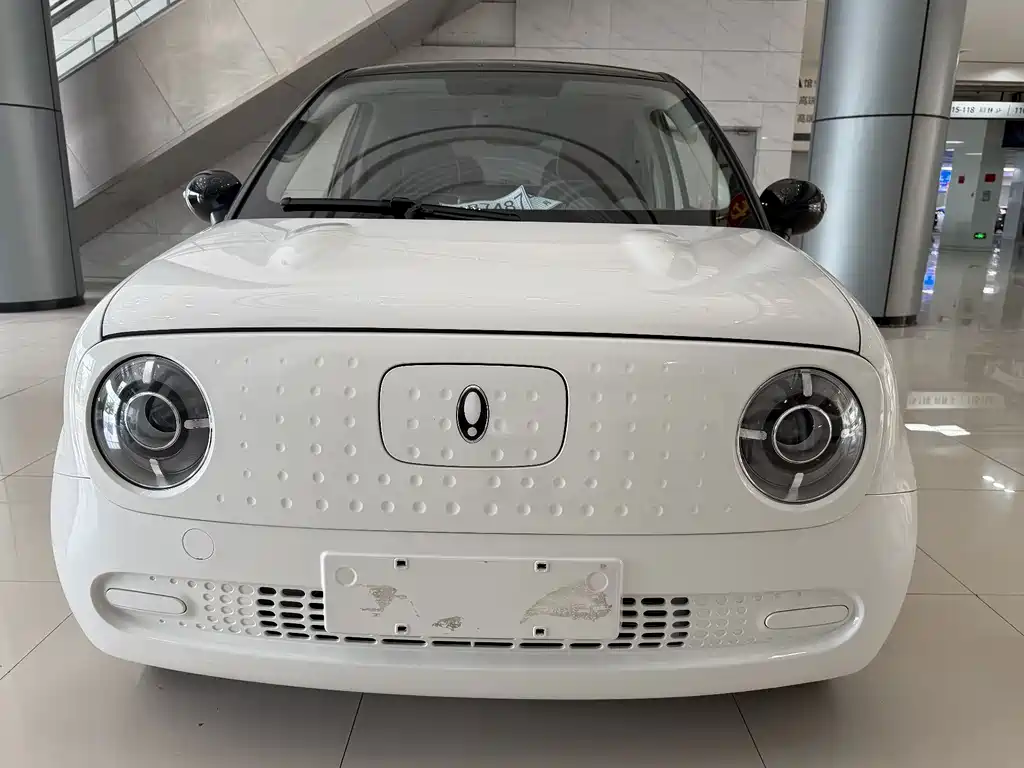 Ora Black Cat 2021 301km Pet Edition
