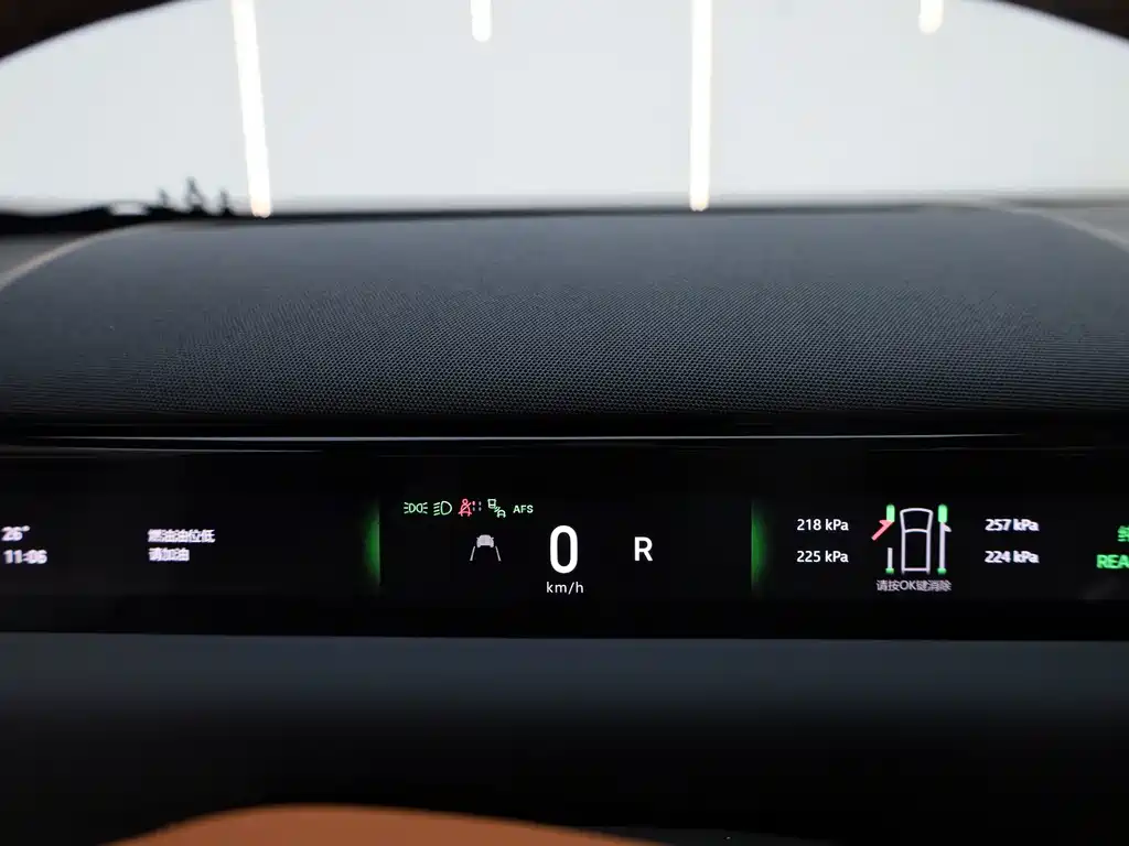 Galaxy M9 2025 Edition 210km All-Wheel Drive Leading Edition