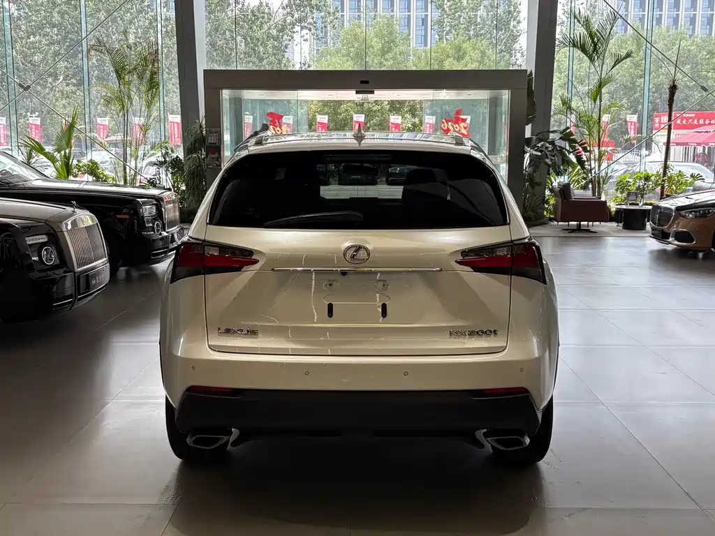 Lexus NX 2015 200t All-Wheel Drive Fengshang Edition