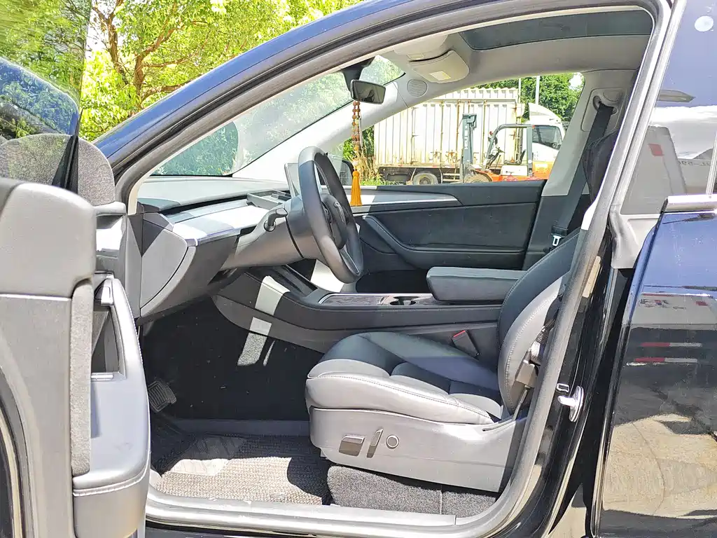 Model Y 2022 Rear-Wheel Drive Edition