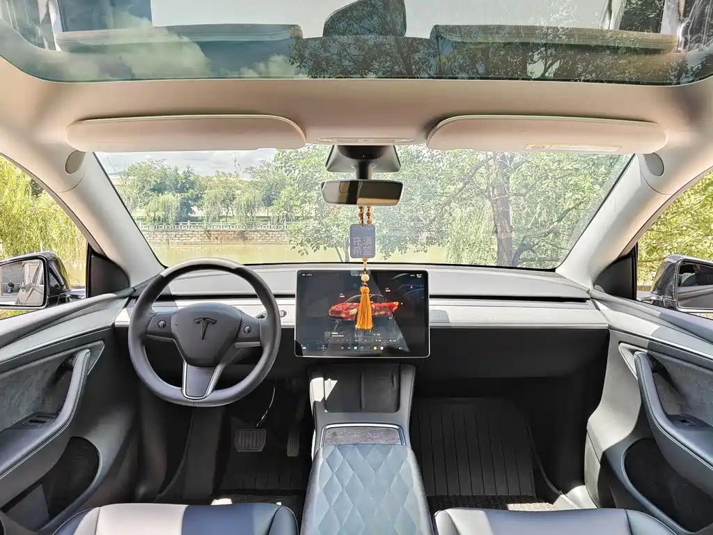 Model Y 2022 Rear-Wheel Drive Edition