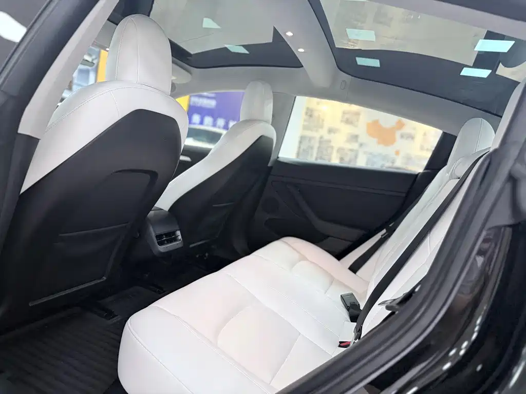 Model 3 Rear-Wheel Drive 2022