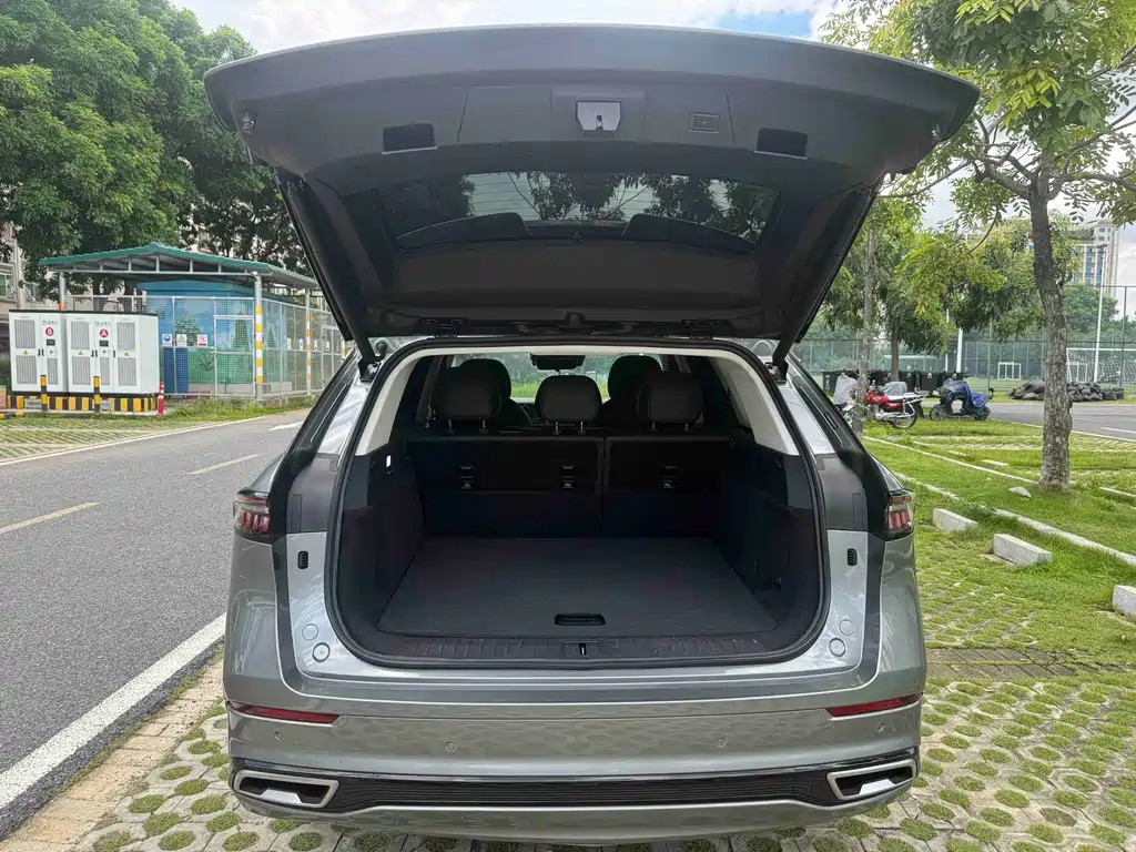 Ruihu 9 2024 Edition 2.0T Automatic Two-Wheel Drive Super Comfort尊享版