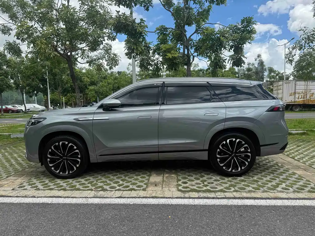 Ruihu 9 2024 Edition 2.0T Automatic Two-Wheel Drive Super Comfort尊享版