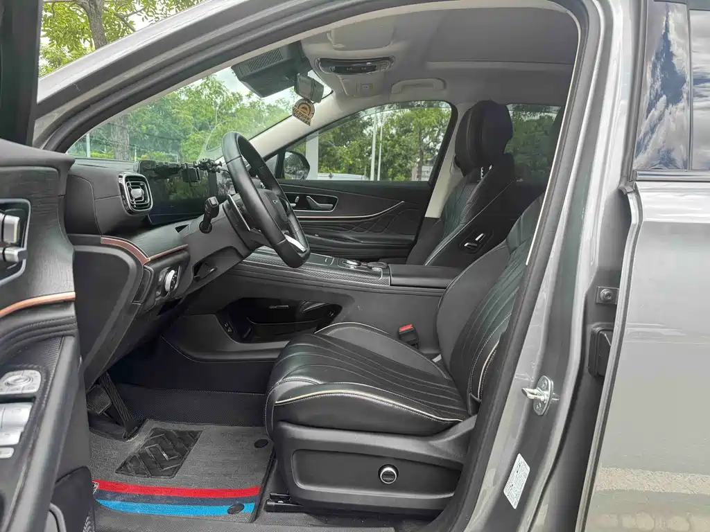 Ruihu 9 2024 Edition 2.0T Automatic Two-Wheel Drive Super Comfort尊享版