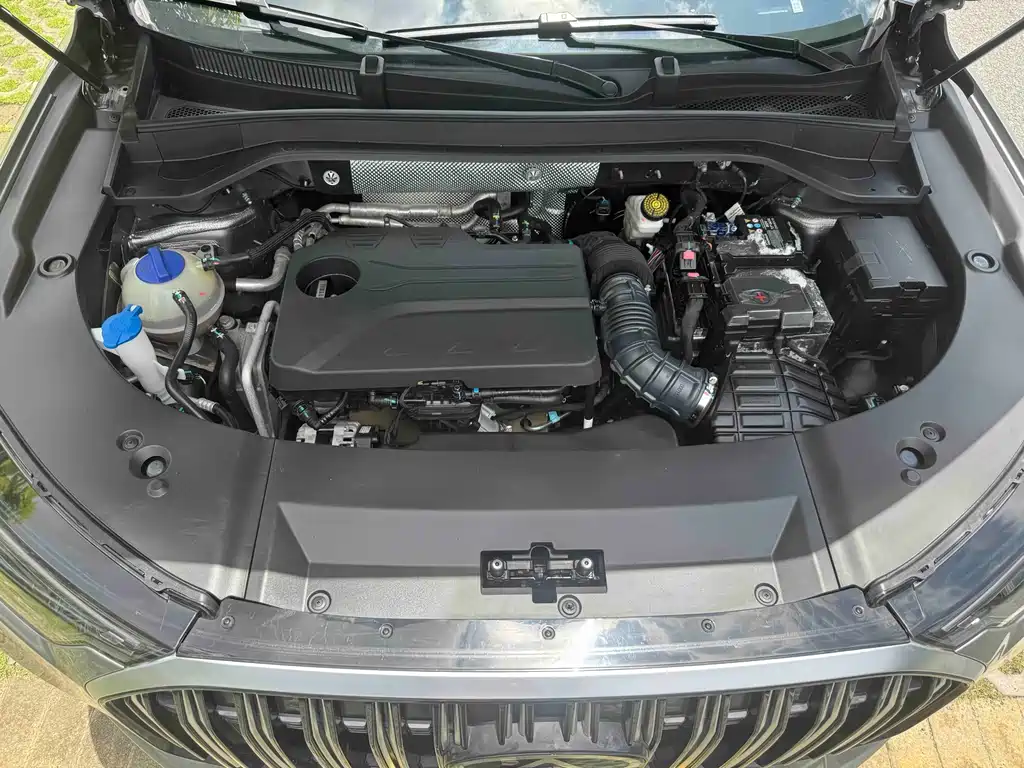 Ruihu 9 2024 Edition 2.0T Automatic Two-Wheel Drive Super Comfort尊享版