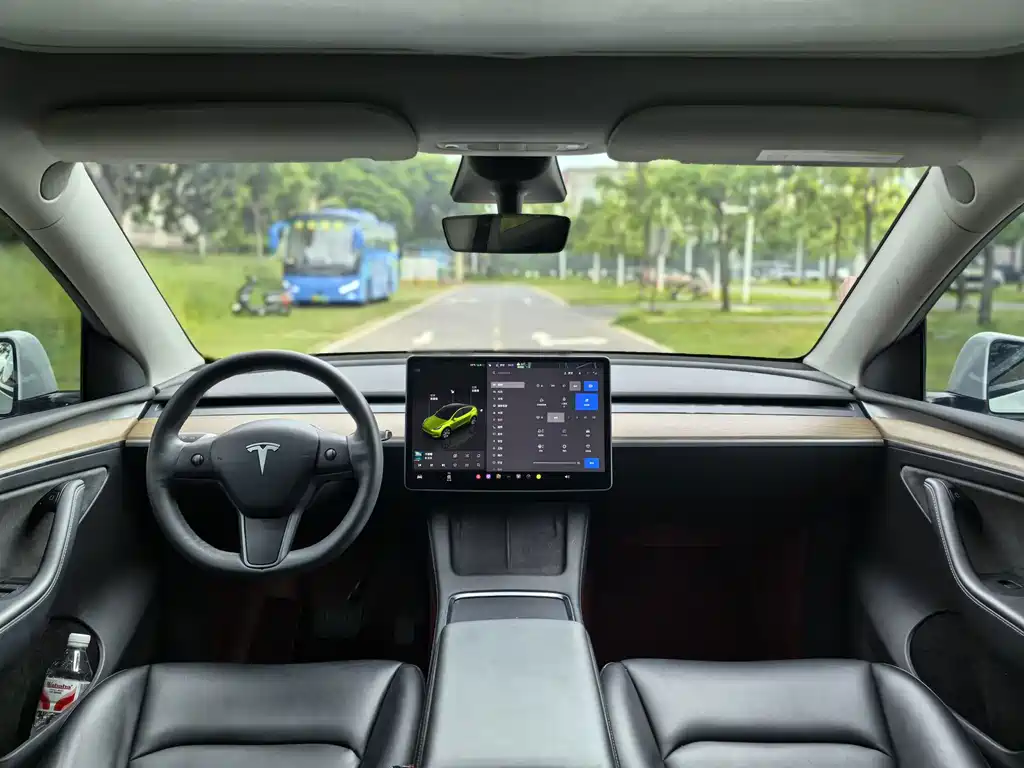 Model Y 2022 Rear-Wheel Drive Edition