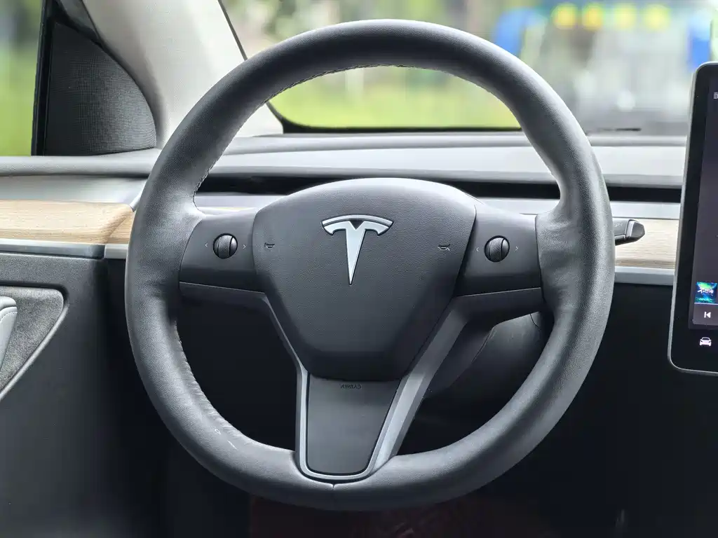 Model Y 2022 Rear-Wheel Drive Edition