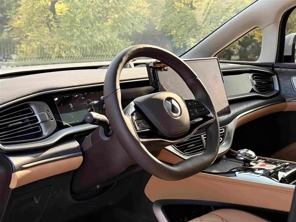 Tengri D9 2024 Model DM-i 1050 Premium Edition