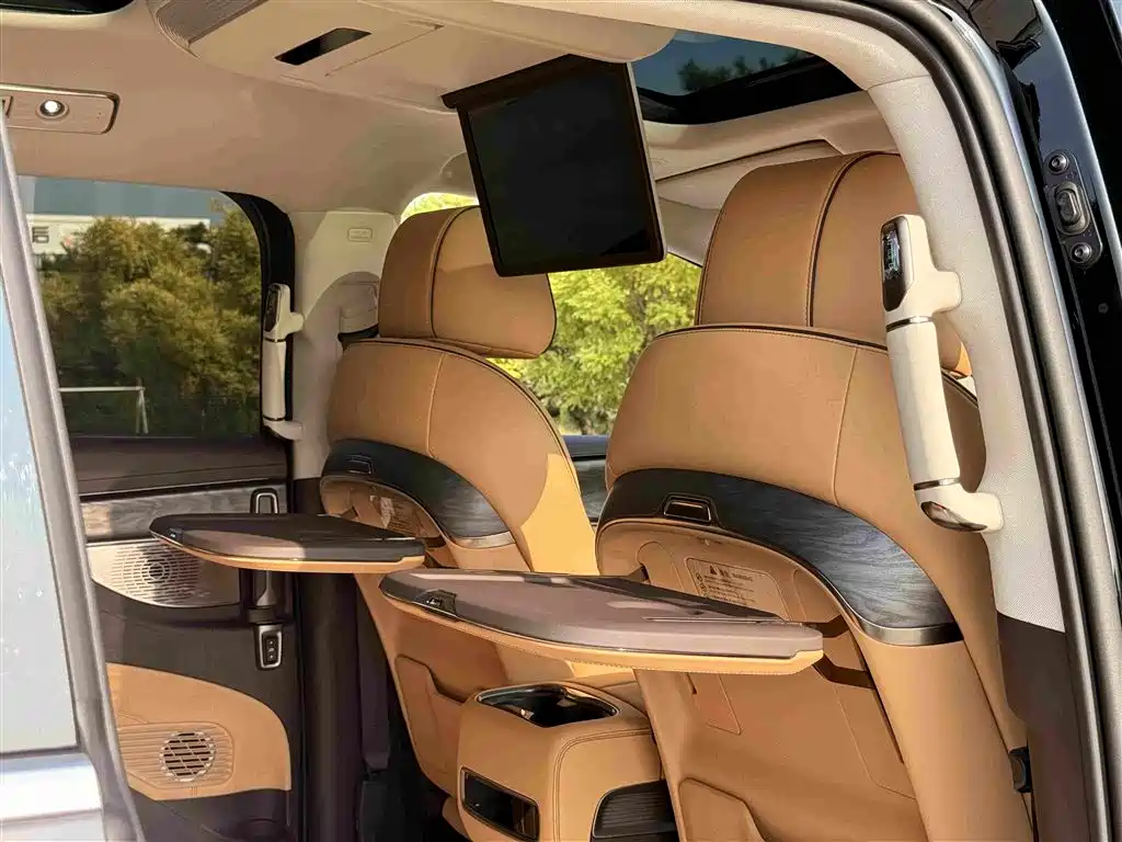 Tengri D9 2024 Model DM-i 1050 Premium Edition
