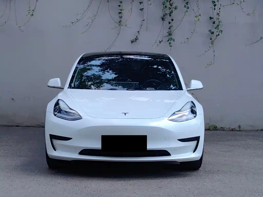 Model 3 Long Range Rear-Wheel Drive Upgrade 2020