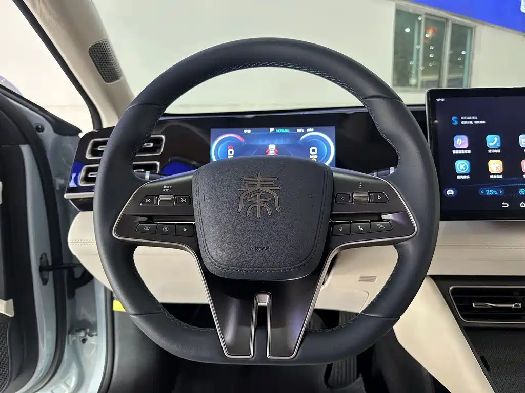 Qin L 2024 DM-i 80KM Surpassing Edition